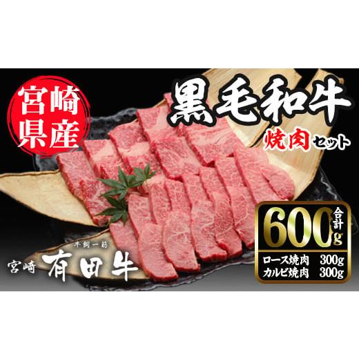 ふるさと納税 宮崎県 日之影町 宮崎黒毛和牛焼肉セット(ロース・カルビ各300g)