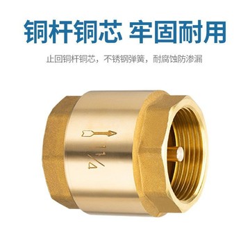 買滿99出貨 全銅內外絲止回閥 4分6分1寸水管 管道彈簧 單向閥 立式防反水逆止閥