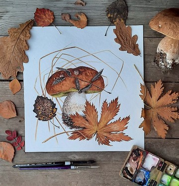 原創水彩畫。水彩蘑菇