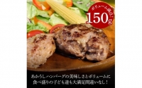 “土佐あかうし100％”土佐あかうしハンバーグ150g×5コ