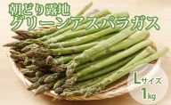 北海道 富良野市産 アスパラ 緑 (Lサイズ) 約1kg 朝どり 露地 グリーン アスパラガス 詰め合わせ 野菜 新鮮 数量限定 先着順