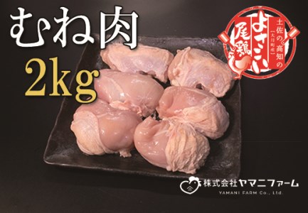 よさこい尾鶏 むね肉2kg