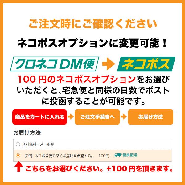 NK2FARM 無洗米 ふっくりんこ 白米 150g 250円 令和4年産 北海道 七飯産 メール便 送料無料／メール便発送のため日時指定、代金引換不可