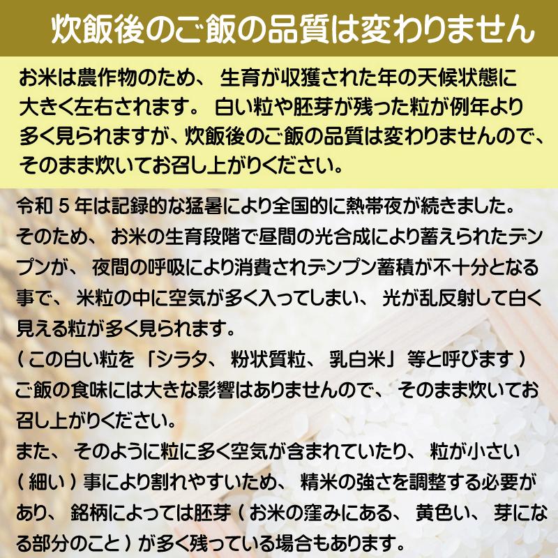 特価  新米 令和5年産 無洗米 5kg×2 はえぬき 10kg 山形県産 特別栽培米 お米 送料無料（SL）