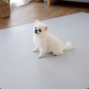 [MH家居] 韓國寵物折疊地墊 織布灰