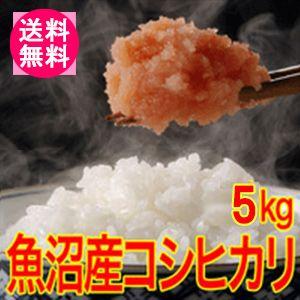 送料無料(北海道・九州・沖縄除く) 令和5年産 新米 最高級！魚沼十日町産コシヒカリ5kg