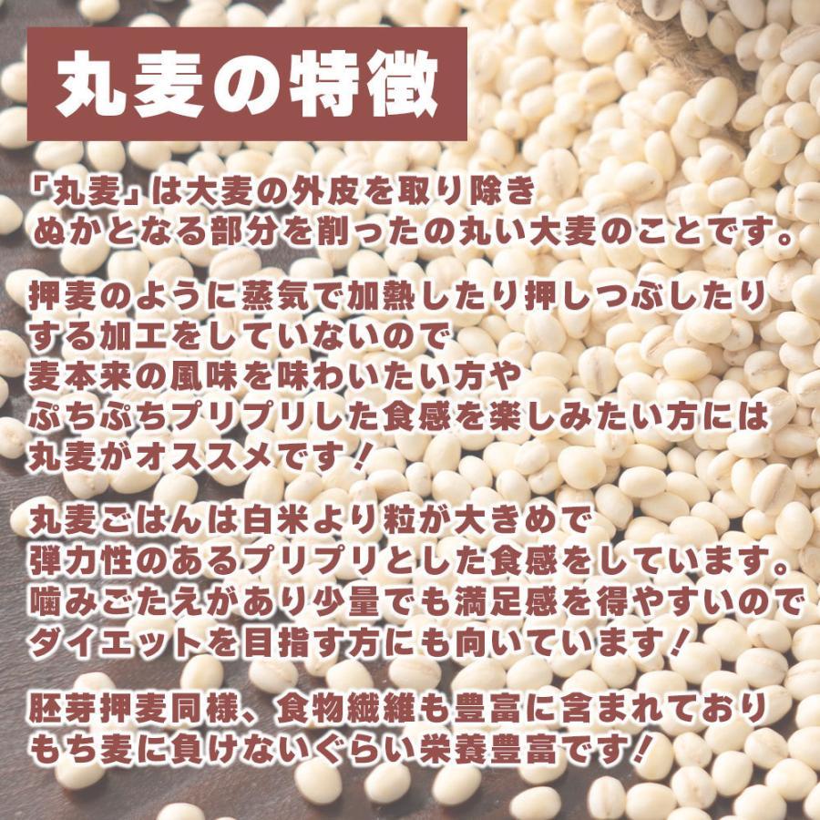 セール 国産 もち麦 2.7kg(450g×6袋) （翌日発送） 無添加 無着色 雑穀 雑穀米 ダイエット 置き換え 食品 食物繊維 送料無料