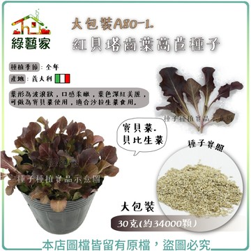【綠藝家】大包裝A80-1.紅貝塔齒葉萵苣種子30克(約34000顆) //葉形為波浪狀，口感柔嫩，葉色深