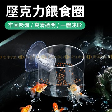 宏洋水族【水族觀察-定點餵食器】魚缸餵食圈 飼料固定圈 防散餌 魚缸餵食器 水族餵食 浮圈餵食環 魚飼料 魚缸 水族箱