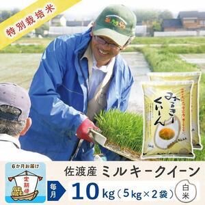 ふるさと納税  佐渡島産ミルキークイーン 白米10Kg 特別栽培米 新潟県佐渡市