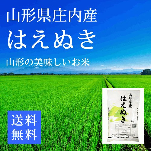 新米 はえぬき 山形県庄内産  精米5ｋg 令和5年産 お米 コメ