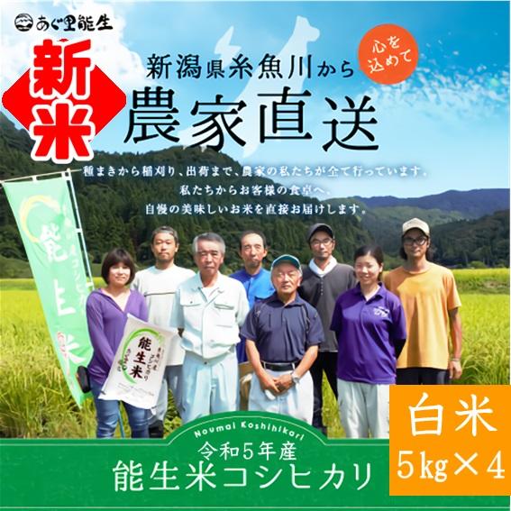 新米 令和５年 米 お米 20kg 5kg×4  新潟 コシヒカリ 白米 精米 農家直送  糸魚川 能生米 送料無料