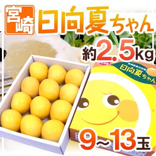 宮崎県産 ”日向夏” 9〜13玉 約2.5kg 化粧箱 送料無料