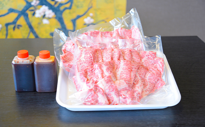 飛騨牛焼肉用（A4～A5等級）マルイ厳選部位約1kg（約500g×2）