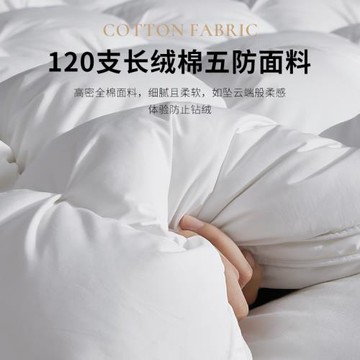 五星級酒店同款正品匈牙利羽絨被白鵝絨絲冬被保暖加厚被子被芯