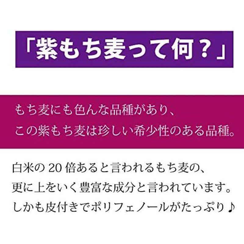 雑穀 国産 無農薬 紫もち麦 大粒選別品 令和4年度産 (殻付き玄麦タイプ(固め), 2kg)