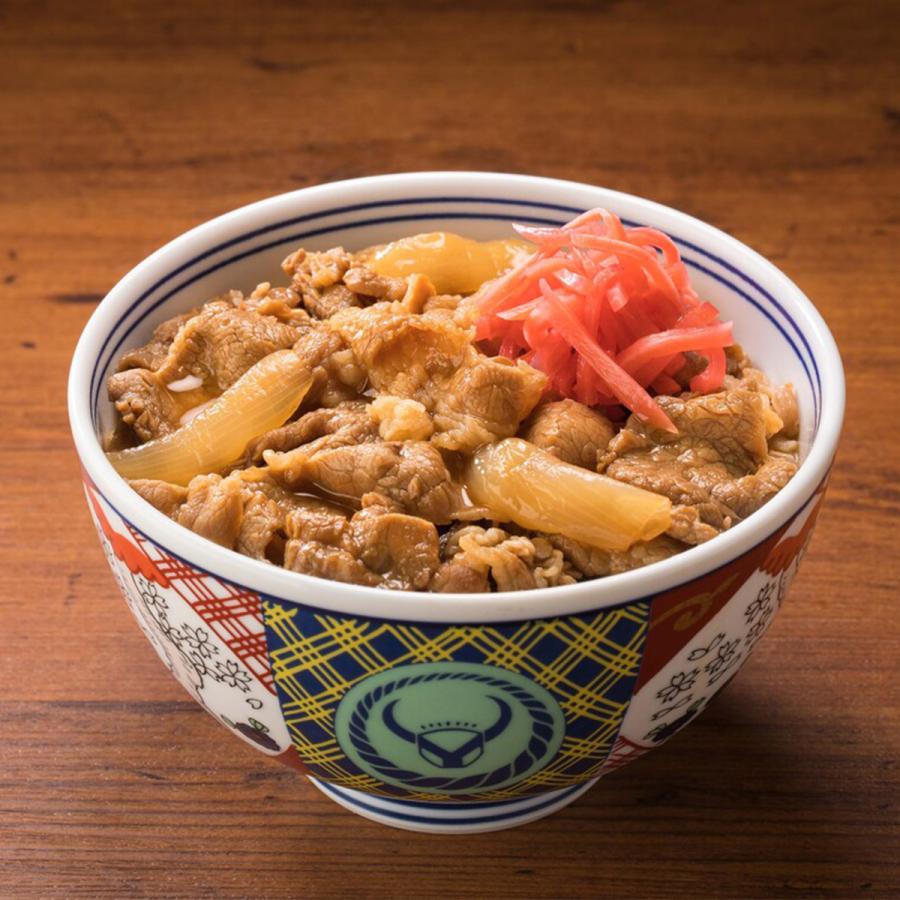 吉野家 牛丼・豚丼 各５食 合計10食