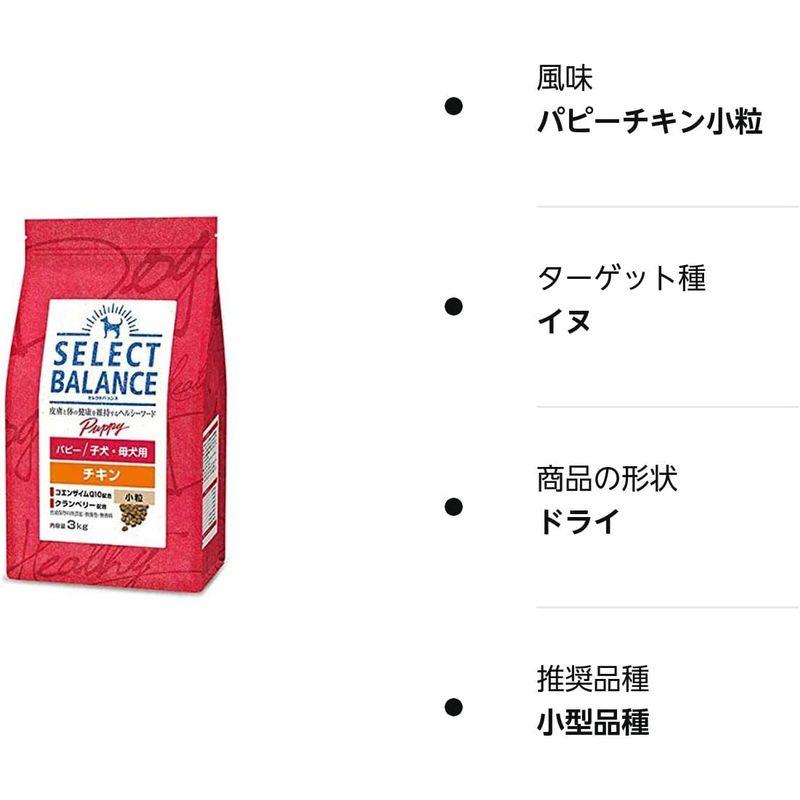 セレクトバランス　乳酸菌ゴールド（犬・猫用）タブレット300ｇ