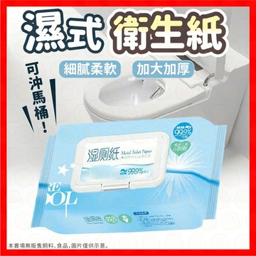 【低價看這邊】濕紙巾 濕式衛生紙 純水濕紙巾 衛生紙 濕廁紙 純水潔膚濕巾 加厚濕廁紙 廁紙 細膩柔軟 隨身包衛生紙