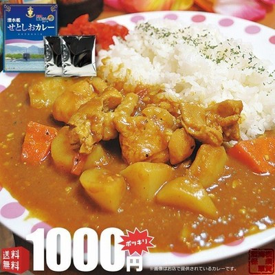 ヤチヨ 横須賀 海自カレー シリーズ 潜水艦せとしおカレー ネコポス 1000円ポッキリ おまけ付き お試し 送料無料 200g×1食入 1個 備蓄 常温保存 福袋