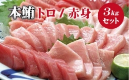 本マグロ（養殖）トロ＆赤身セット 3kg 高級 クロマグロ  中トロ 中とろ まぐろ マグロ 鮪 刺身 赤身 柵 じゃばらまぐろ 本マグロ 本鮪