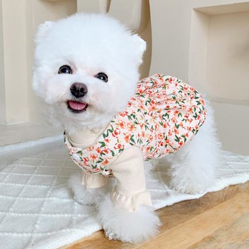 米樂復古裙子狗狗貓咪衣服冬天泰迪寵物博美比熊約克夏小狗秋冬款