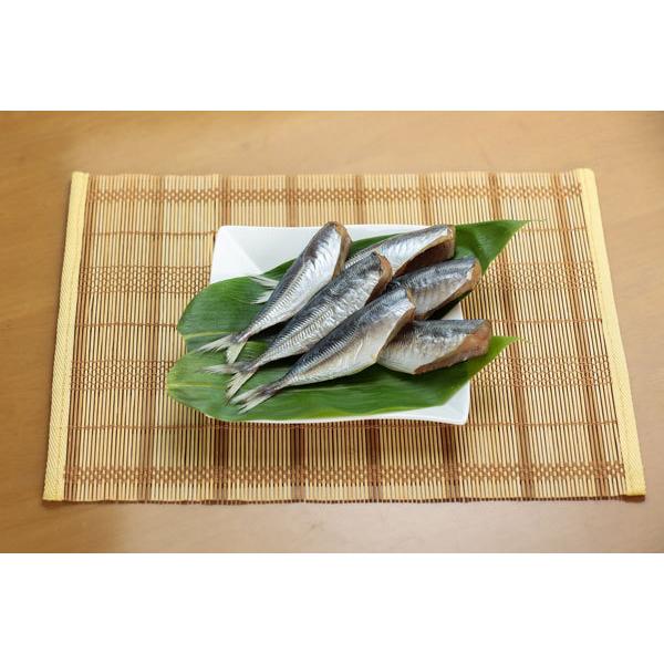 魚干物 新潟の魚 アジの一夜干し（丸干し）