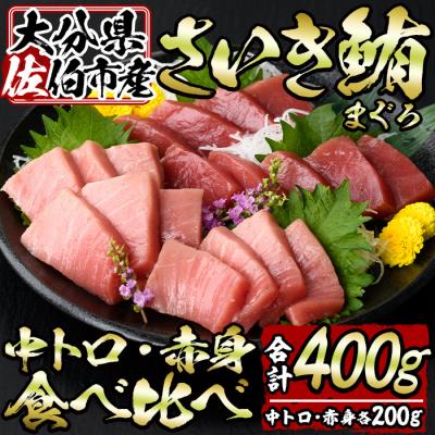 ふるさと納税 佐伯市 佐伯市産本マグロ 中トロ・赤身 食べ比べ(合計約400g・中トロ200g・赤身200g)