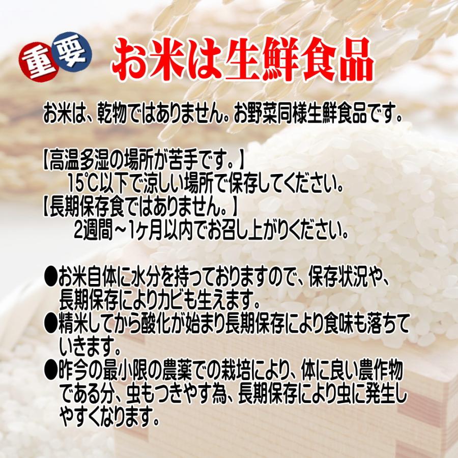 米 新米 令和5年 無洗米 米 お米 10kg コシヒカリ 5kg×2袋  岩手県産 送料無料