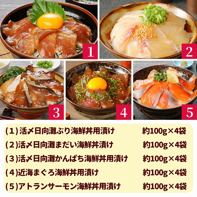 日向灘 お魚の漬け丼 バラエティ 5回 定期便  N019-ZD0117　請関水産