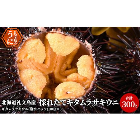 ふるさと納税 北海道 礼文島産 採れたて キタムラサキウニ 塩水パック 100g×3 生うに 生ウニ  塩水うに 北海道礼文町