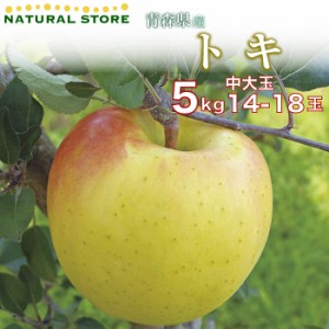 [最短順次発送]  トキりんご 14玉-18玉（中大玉） 5kg 箱 りんご 青森県産 トキりんご ときりんご ギフト 中大玉 高糖度