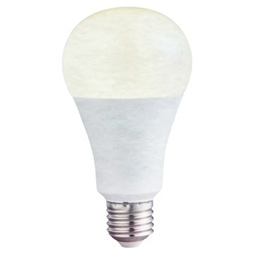 億光 EVERLIGHT LED球泡燈 10W 黃光 節能省電  1個