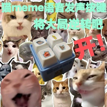 ⭐臺灣熱賣好物⭐貓meme解壓按鍵鑰匙扣發光語音掛件將大局逆轉吧按鍵發聲玩具解壓