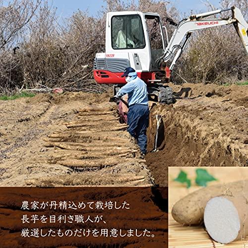 長芋 長いも 長野県産 10kg 国産 産地から採れたて ご自宅用 西村青果