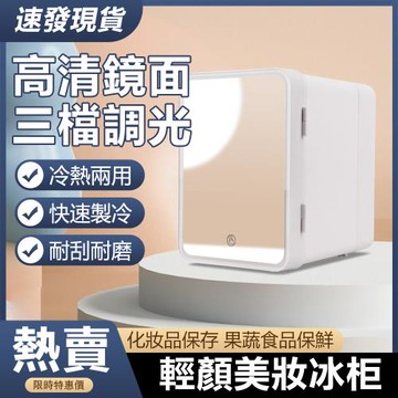 【現貨】110V 車家兩用鏡面小冰箱 大容量4L