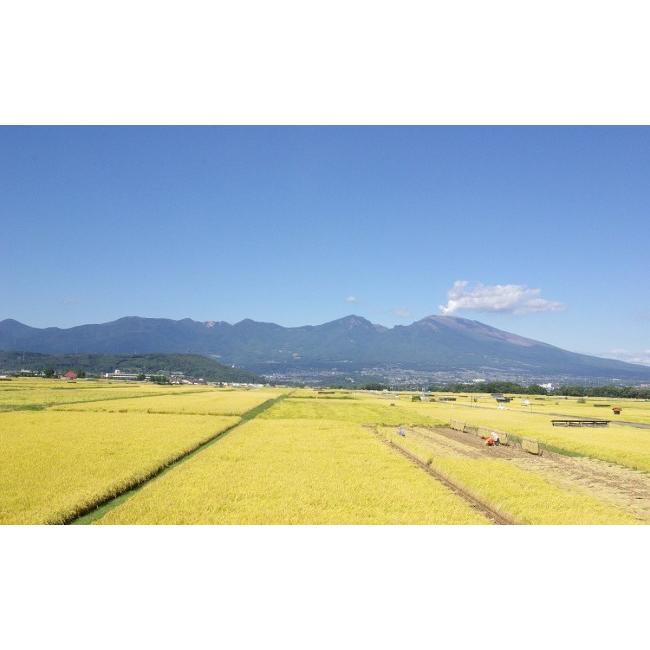 ふるさと納税 長野県 佐久市 特別栽培米五郎兵衛米　10kg