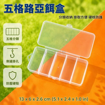 台灣出貨 透明塑料五格收納盒 固定式分隔設計 帶蓋防塵化妝品整理盒 掛鉤孔位可掛牆 耳飾首飾美甲工具分類盒