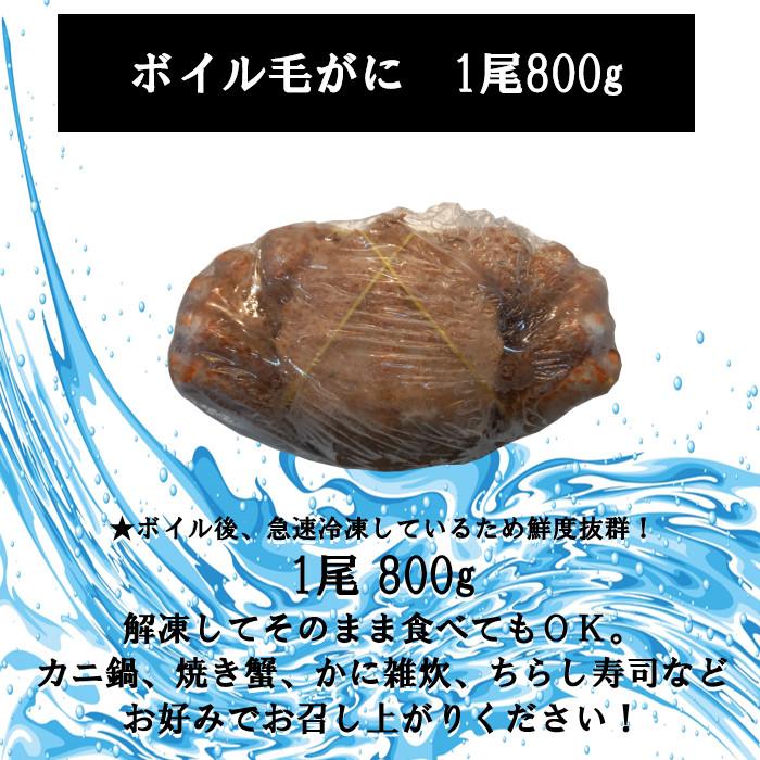 ボイル毛がに １尾 800g 送料無料（沖縄・離島は除く） 毛ガニ 毛蟹 カニ 蟹 かに ロシア産