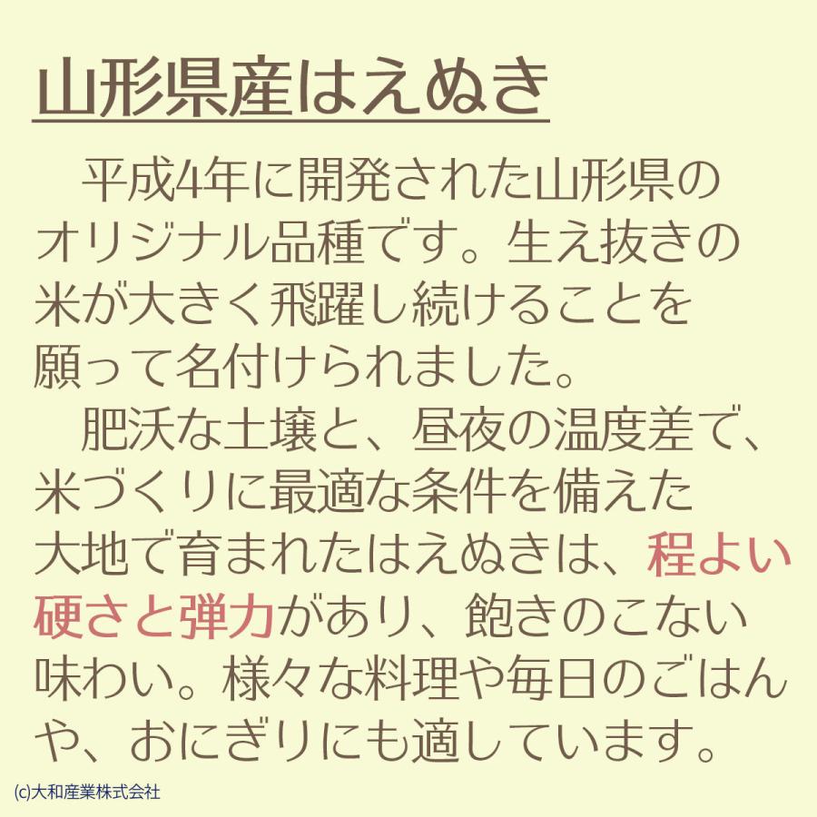 玄米　令和５年産　山形県産 はえぬき 1等 玄米 30kg