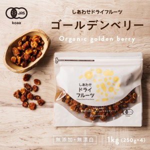 有機ゴールデンベリー1kg（250g×4袋）？美容 健康 スーパーフード ゴールデンベリー フルーツ 果物 インカベリー ごーるでんべりー ベリ