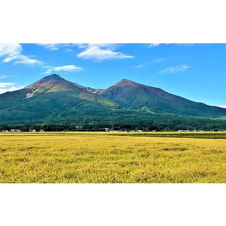 ふるさと納税 令和5年産 福島県産 あさか舞コシヒカリ 精米10kg（5kg×2袋） 福島県郡山市