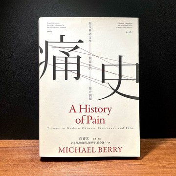 ◤書況佳 文化研究《痛史──現代華語文學與電影的歷史創傷(新版)》白睿文｜麥田出版