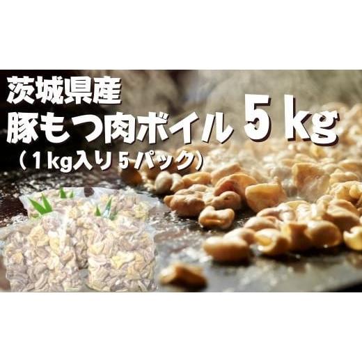 ふるさと納税 茨城県 行方市 DH-16 茨城県産　豚もつ肉ボイル（1kg入り×5袋）