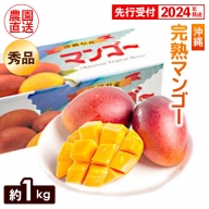 ヤマト農園　完熟マンゴー約1kg（秀品）