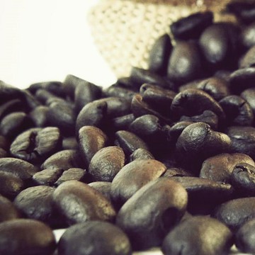 Gustare caffe 精選東帝汶咖啡豆(1磅)