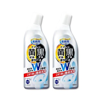 (2瓶超值組)AIMEDIA艾美迪雅-專業用馬桶黃黑污漬清潔劑300ml/瓶(日本製廁所強效去污洗劑,芳香消臭浴廁潔淨液)