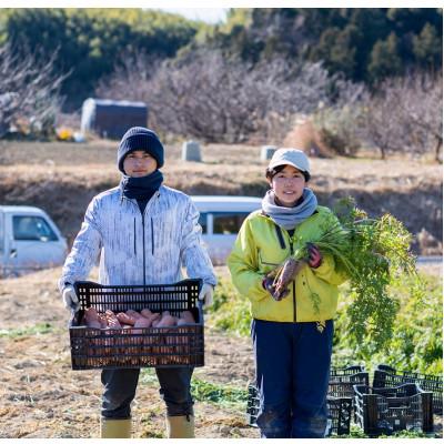 ふるさと納税 掛川市 於愛の方 ふるさとの味 オーガニック野菜セット  (旬の有機野菜)Mセット