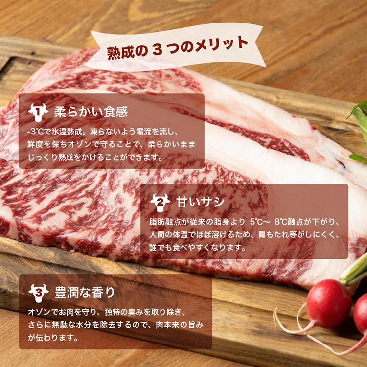 熟成 上州牛 サーロイン 300g 肉 ステーキ 和牛 肉 熟成  美味しい お取り寄せ 内祝い プレゼント ギフト グルメ 冷凍 にく ギフト