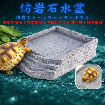 陸龜驛站｜仿岩石水盆 爬蟲水盆 泡水盆 食盆 守宮 角蛙 蜥蜴 烏龜 陸龜 兩棲爬蟲